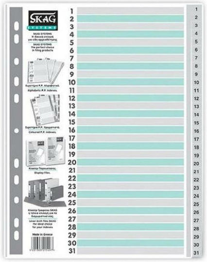 Skag Plastic Dividers for Documents A4 with Holes 31pcs