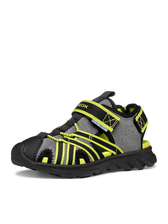 Geox Geox