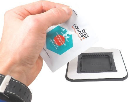 Gemma Traps for Bed Bugs 4pcs