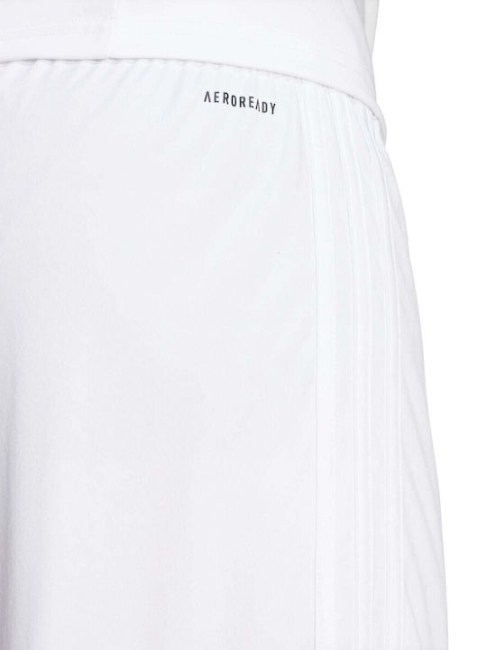 Squadra 25 Sports Men's White Shorts