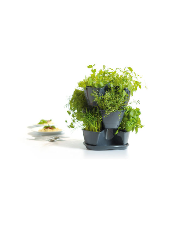Prosperplast Γλαστράκια Βοτάνων Γλάστρα Πλαστική Anthracite 29.5x29.5x38εκ.