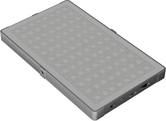 Newell Rgb-w Rangha Max Led Lamp