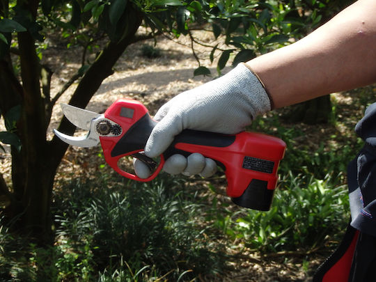 Ars Pruning Shears Battery 14.4V 1x2.5Ah with Maximum Cutting Diameter 52mm in Carrying Case