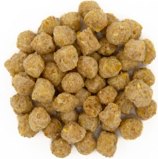 Zupreem Τροφή σε Pellet για Παπαγαλάκια