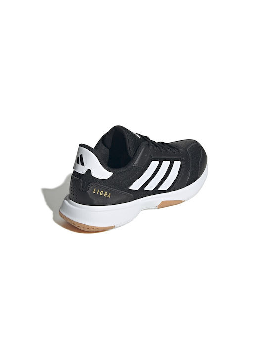 Ligra 8 Sport Shoes Volleyball Black
