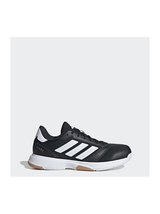 Ligra 8 Sport Shoes Volleyball Black