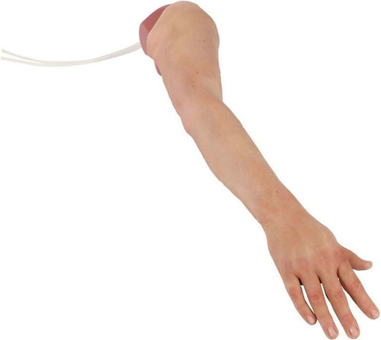 Erler Zimmer Appendages & Joints Model