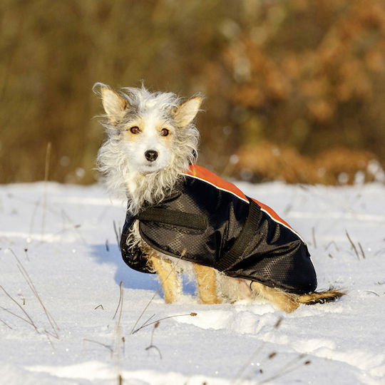 Kerbl Orange Waterproof / Windproof Dog Coat