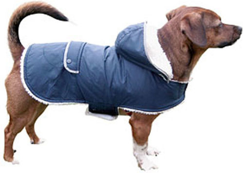 Kerbl Hundemantel Kapuzen Blau mit Rückenlänge 34 cm.