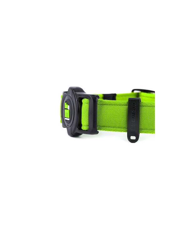 My Family Memopet Hundehalsband Lime Klein 26 - 37cm