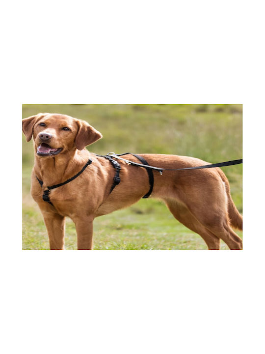 Trixie Stay Черен X-Large / Large 25мм x 75-100см Trixie Stay Черен X-Large / Large 25мм x 75-100см