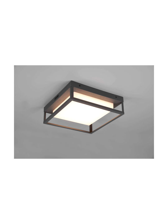 Trio Lighting Witham Outdoor Ceiling Flush Mount with Integrated LED in Black Color 677860142