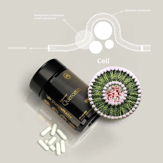 Purovitalis Liposomal 60 κάψουλες