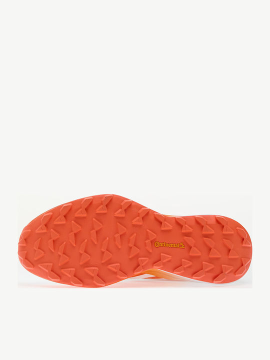 adidas Terrex Agravic 3 Sneakers Ftwr White / Semi Impact Orange / Dash Grey
