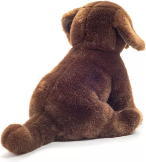 Teddy Teddy Plush Puppy for 3+ Years 25 cm
