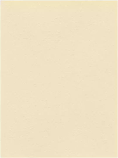 Favini Carton Bej 70x100cm
