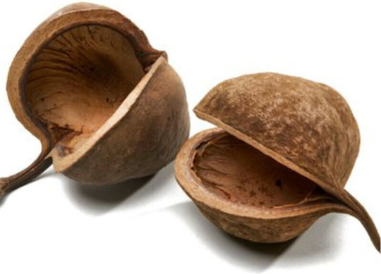Nature4pets Βuddha Pods Xl