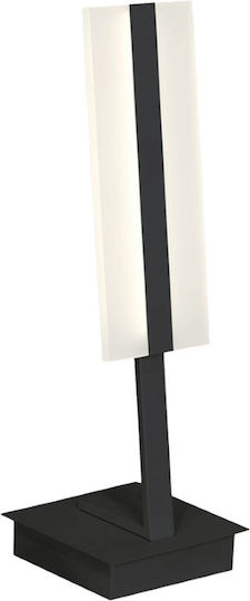 Eko Light Dekorative Lampe Schwarz