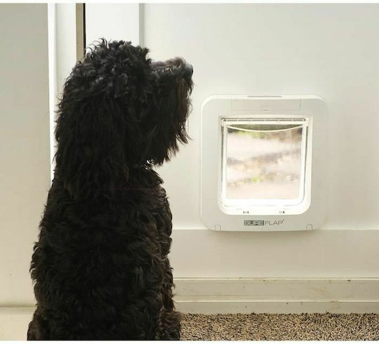 Trixie Sureflap 4Way Cat Flap XL Door Dog & Cat made of Plastic in White Color 26.2 x 17 x 28.1cm