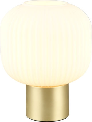 Trio Lighting Διακοσμητικό Φωτιστικό E27 20x26εκ.