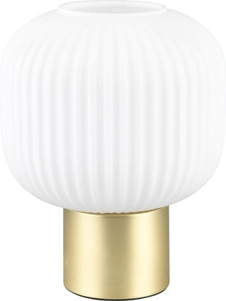 Trio Lighting Διακοσμητικό Φωτιστικό E27 20x26εκ.