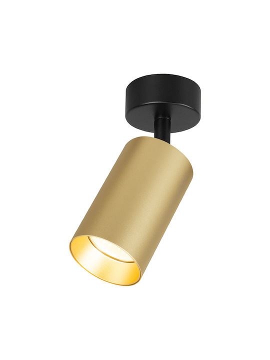 Eko Light Einzel Spot mit Fassung GU10 in Gold Farbe