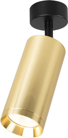 Eko Light Single Spot with Socket GU10 in Gold Color