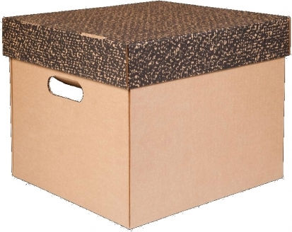 ΙΩΝΙΑ Box Κουτί Αρχειοθέτησης με Καπάκι 30x34x36εκ. Καφέ