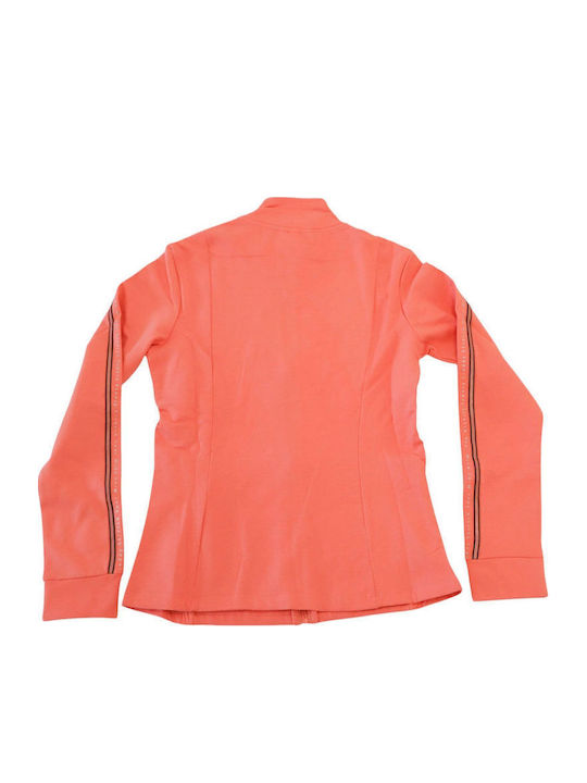 Sweatpants Orange
