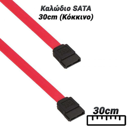 StarTech 7-Pin SATA II - 7-Pin SATA III Cable 30cm Κόκκινο (SATA12)