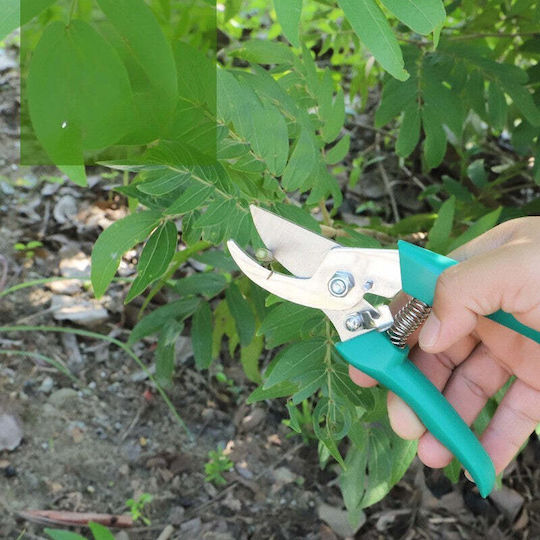 Hand-Gartenwerkzeug-Set