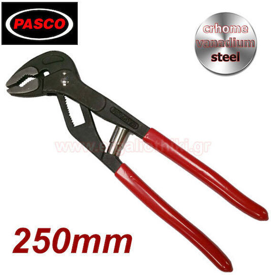 Pasco Γκαζοτανάλια 2" 250mm