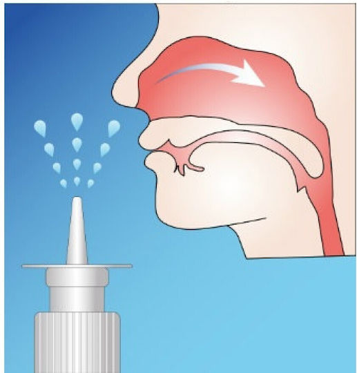 from Plastic Spray (1pcs)