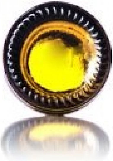Μπουκαλάκι από Γυαλί χωρίς Καπάκι 5ml