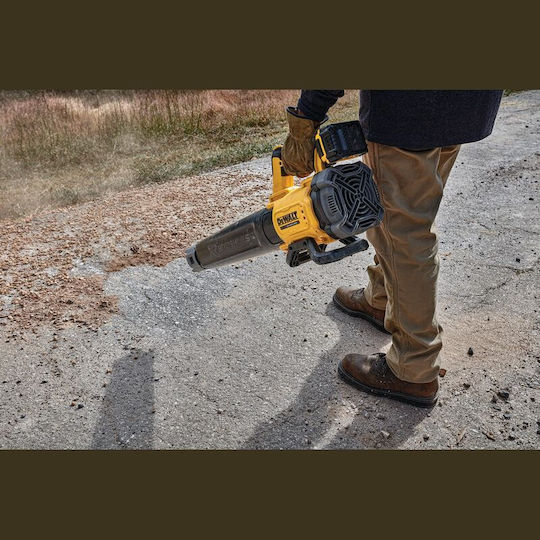 Dewalt Издухвател Чанта за ръка