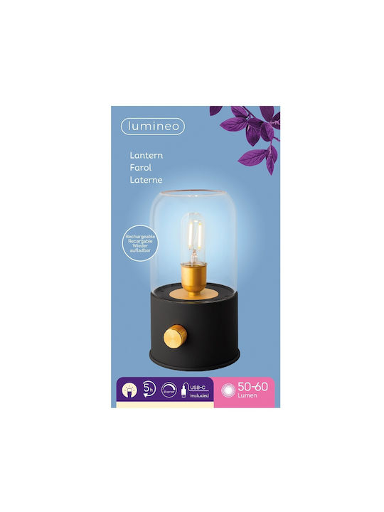 Lumineo Lustră Decorativă Negru