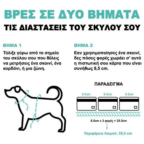 Zee-Dog Haustierhalsband-Etui Silikon für AirTag Lime