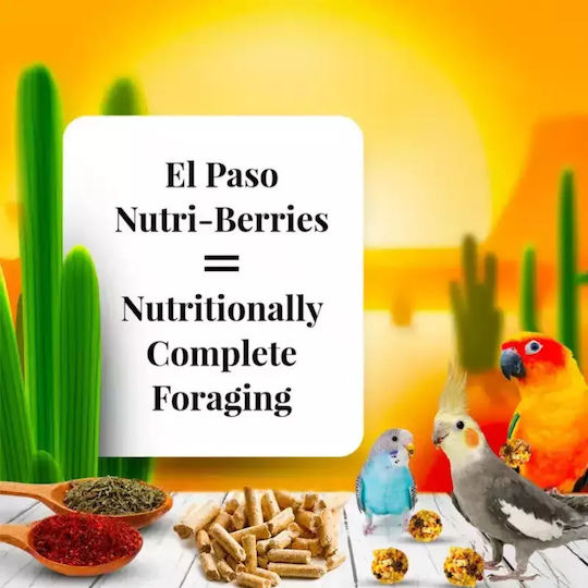 Lafeber Nutri-berries El Paso Cockatiel Pellet-Shaped Seed Balls Small Medium Birds