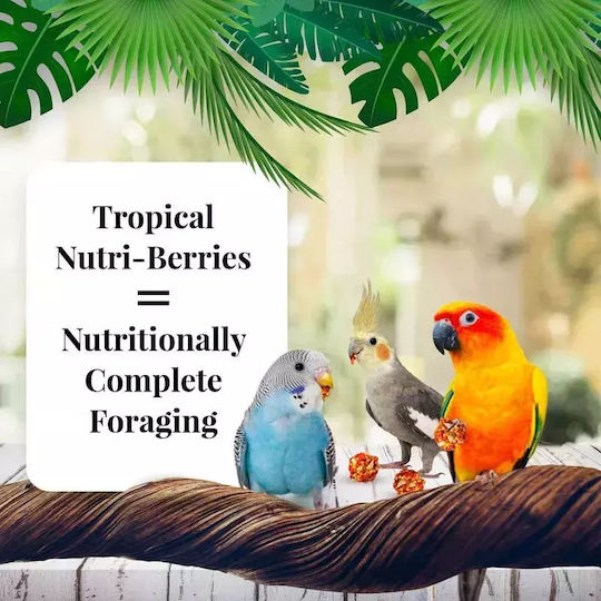 Lafeber Nutri-berries El Paso Cockatiel Pellet-Shaped Seed Balls Small Medium Birds