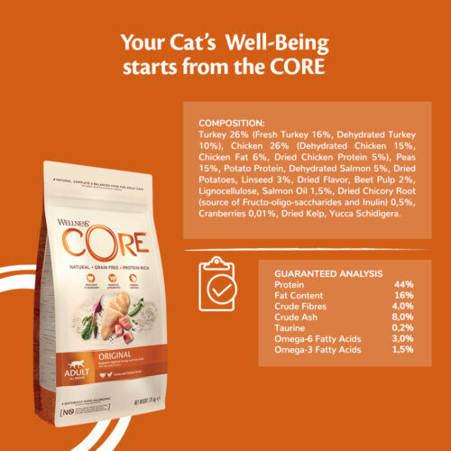 Wellness Core Original Grain Free Dry Food Grain-Free for Adult Cats with Chicken / Turkey 4kg
