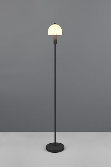 Trio Lighting Φωτιστικό Δαπέδου Υ120εκ. με Ντουί για Λαμπτήρα E14 Μαύρο