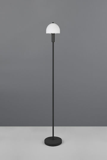 Trio Lighting Φωτιστικό Δαπέδου Υ120εκ. με Ντουί για Λαμπτήρα E14 Μαύρο