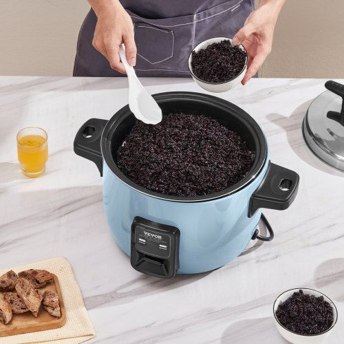 Vevor Rice Cooker 1.6kW with Capacity 10lt
