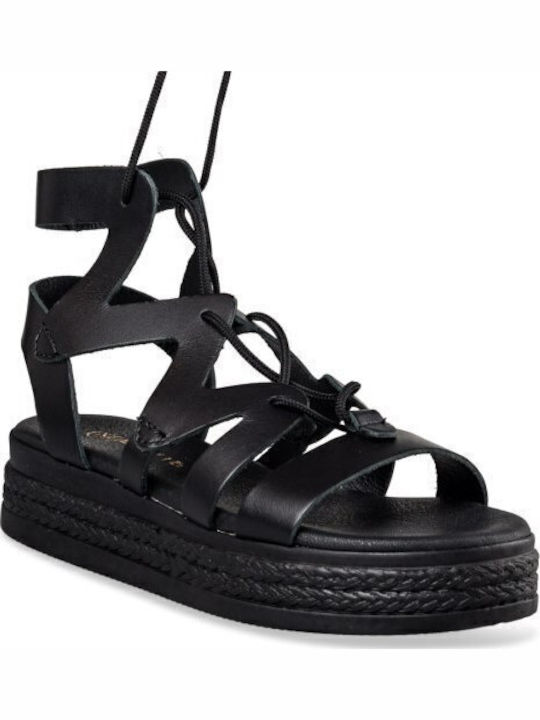 Envie Shoes