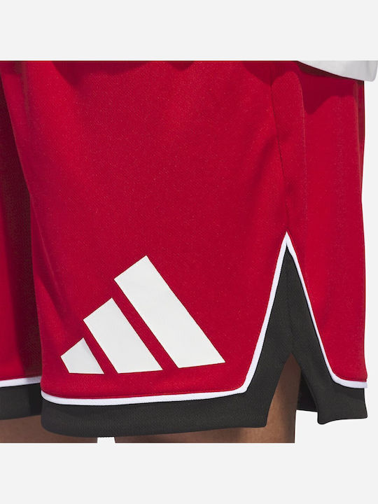Badge Of Sport Athletic Men's Red Shorts