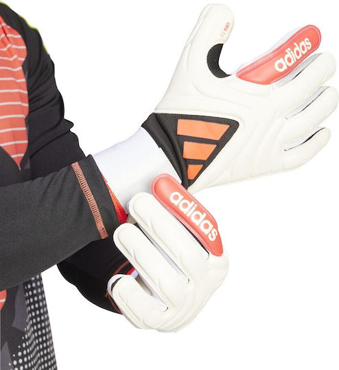 adidas Copa Gl Lge Adults Goalkeeper Gloves White