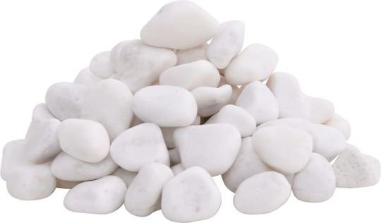 Vidaxl Pietricele Albe Lustruite 25 kg 2-5 cm Alb