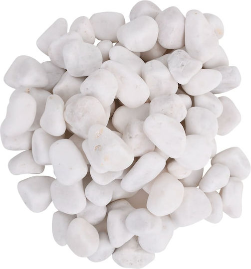 Vidaxl Pietricele Albe Lustruite 25 kg 2-5 cm Alb