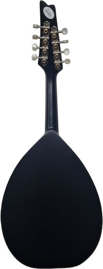 Acoustic Mandolin