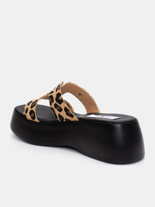 Women's Platform Shoes Brown